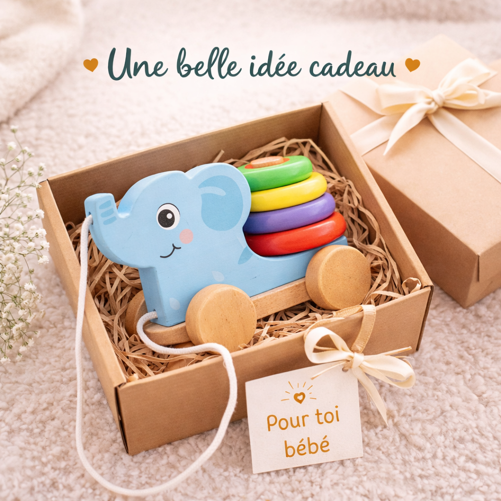 Jouet à tirer en bois Colorbaby présenté en idée cadeau pour bébé dans une boîte cadeau